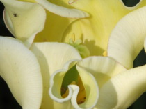 Preview - Click to zoom
